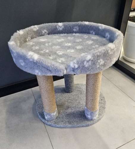 photo_2024-10-25_16-51-28