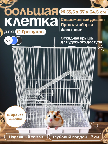 AT01 Белая