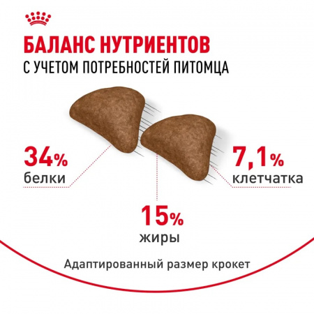 Сухой корм ROYAL CANIN Hairball Care для взрослых кошек - для снижения образования волосяных комочков, 400г