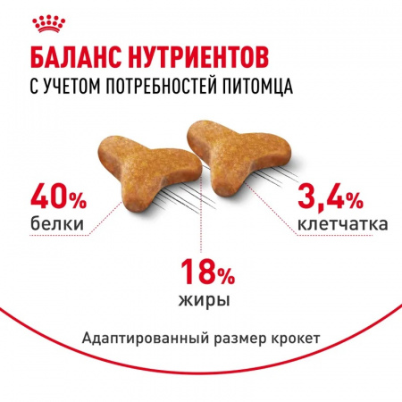 Сухой корм ROYAL CANIN Bengal Adult,для взрослых бенгальских кошек, 400г.