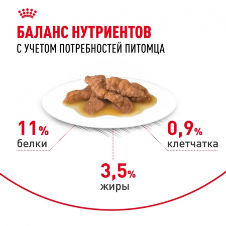Влажный корм ROYAL CANIN Indoor Sterilised для взрослых кошек (в возрасте от 1 года до 7 лет), живущих в помещении, соус, 85г