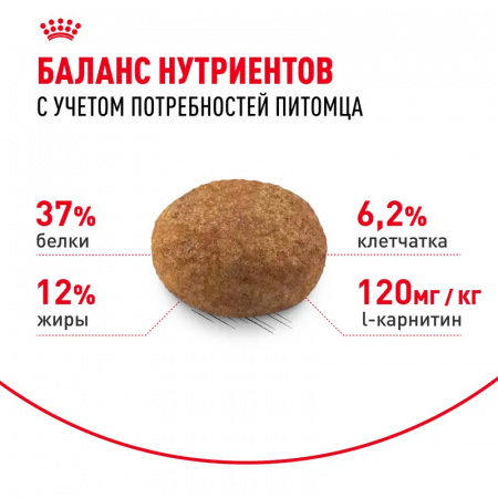 Сухой корм ROYAL CANIN Sterilised-37, для взрослых стерилизованных кошек 1.2кг