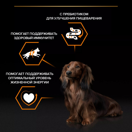Влажный корм Purina PRO PLAN для взрослых собак мелких и карликовых пород, с говядиной, 85г