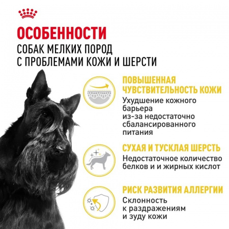 Сухой корм ROYAL CANIN Mini Dermacomfort, для взрослых собак мелких размеров при раздражениях и зуде кожи, 1кг
