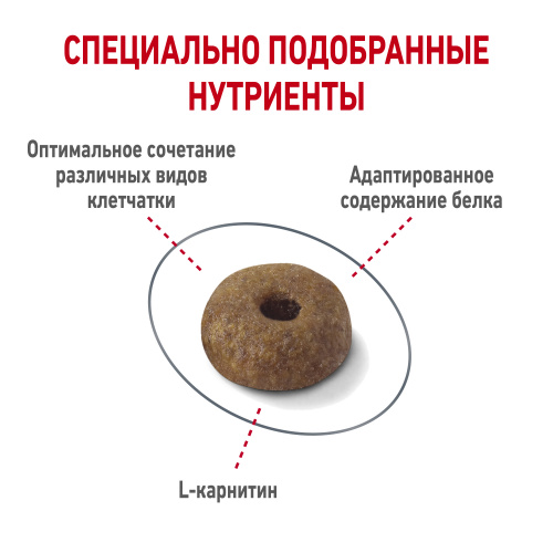 8f96a832184d0ae71436aa2948655d77