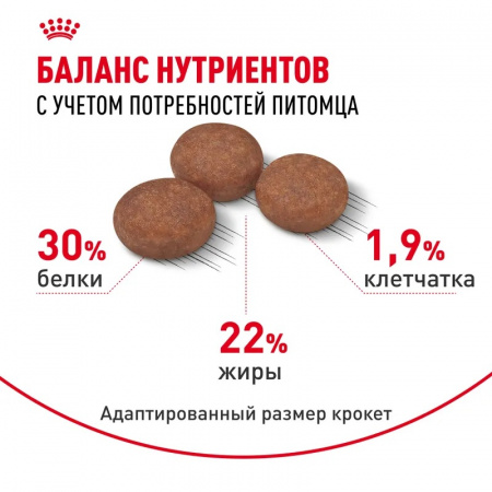Сухой корм ROYAL CANIN Mini Digestive для собак мелких пород (весом 1-10 кг) с чувствительной пищеварительной системой 1кг