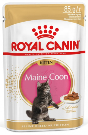 Влажный корм ROYAL CANIN Maine Coon Kitten для котят породы Мэйн Кун в возрасте до 15 месяцев, мелкие кусочки в соусе, 85г
