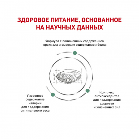 Сухой корм ROYAL CANIN Diabetic, для взрослых кошек при сахарном диабете, диетический, 1.5кг