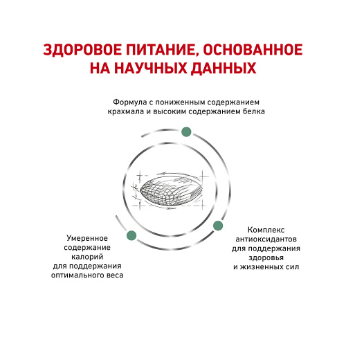 диабет3