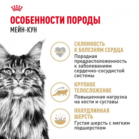 Влажный корм ROYAL CANIN Maine Coon, для взрослых кошек породы Мэйн Кун старше 15 месяцев, 85г