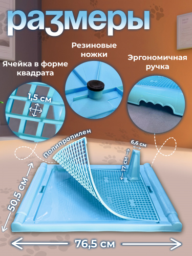 Син2