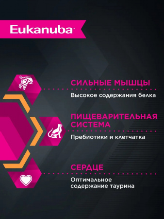 Влажный корм EUKANUBA Top Condition для взрослых кошек, для поддержания оптимальной формы, с лососем в соусе, 85г
