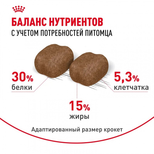 295_5