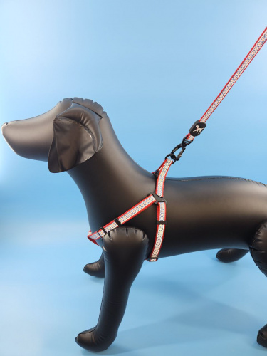 photo_2024-08-16_15-48-25 (2)