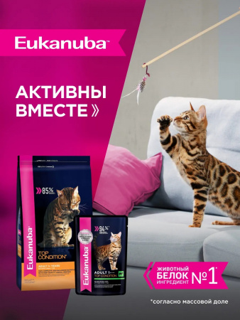 Влажный корм EUKANUBA Top Condition для взрослых кошек, для поддержания оптимальной формы, с говядиной в соусе, 85г