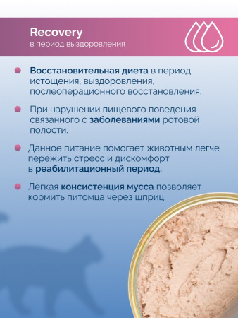 Влажный корм Lucky bits Recovery для кошек, в период анорексии, выздоровления, с курицей, 240г