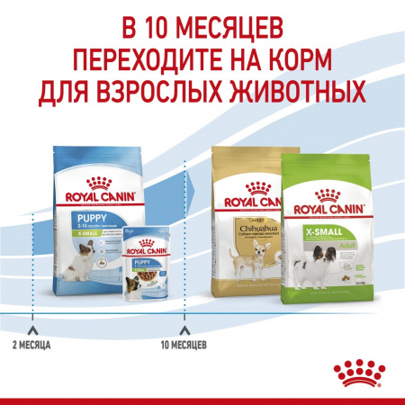 Сухой корм ROYAL CANIN X-Small Puppy, для щенков миниатюрных пород, 3кг
