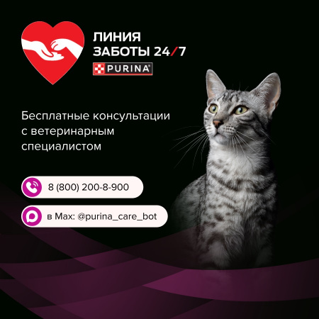 Влажный корм Purina PRO PLAN VETERINARY DIETS UR ST/OX Urinary для взрослых кошек, при болезнях нижних отделов мочевыводящих путей, с курицей, 85г