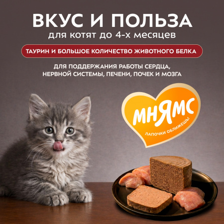 Влажный корм Мнямс Деликатес Стартер для котят до 4 месяцев, паштет из индейки, 200г