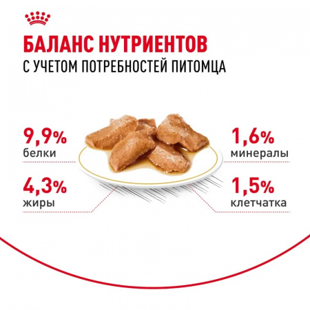 Влажный корм ROYAL CANIN Maine Coon, для взрослых кошек породы Мэйн Кун старше 15 месяцев, 85г