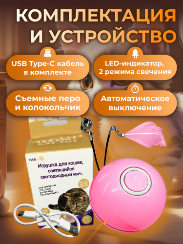 Роз2