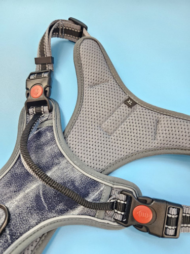 photo_2024-07-05_12-31-35