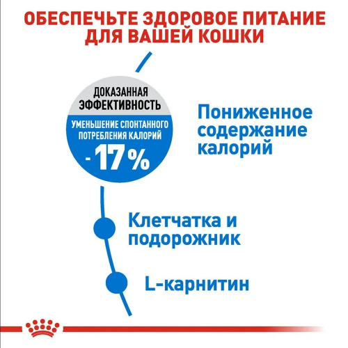 вейт2