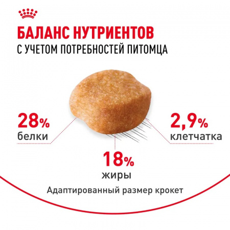 Сухой корм ROYAL CANIN Yorkshire Terrier 8+, для стареющих собак породы Йоркширский Терьер от 8 лет, 500г.