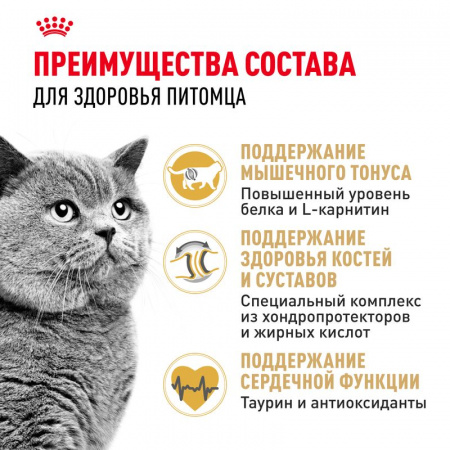 Сухой корм ROYAL CANIN British Shorthair Adult для для взрослых британских короткошерстных кошек старше 12 месяцев 10кг
