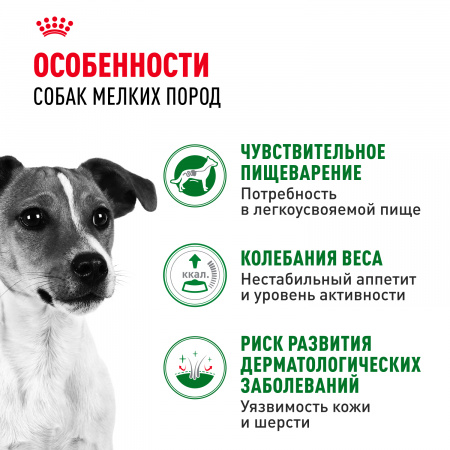 Влажный корм ROYAL CANIN Mini Adult, для взрослых собак мелких размеров, 85г