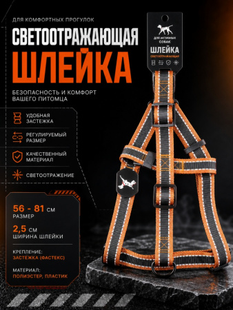 VH-12-CO Шлейка светоотражающая двухцветная для домашних животных "Бакс". Цвет: кофейный