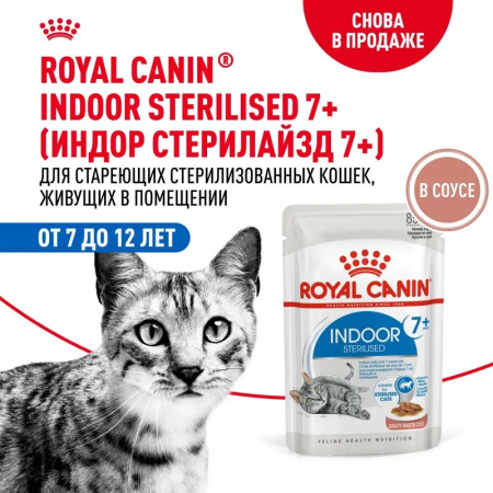 Влажный корм ROYAL CANIN Indoor Sterilised 7+  для  кошек (в возрасте от 7 до 12 лет), живущих в помещении, мелкие кусочки в соусе, 85г