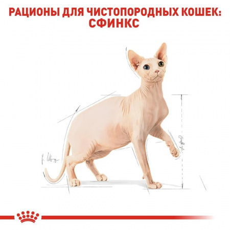 Сухой корм ROYAL CANIN Sphynx Adult, для взрослых кошек породы Сфинкс, 2 кг