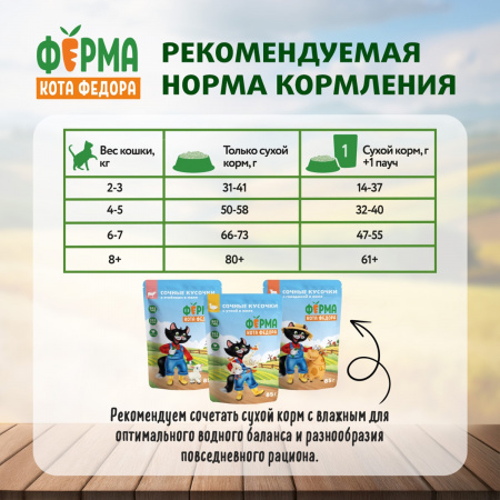 Сухой корм Ферма кота Федора для взрослых стерилизованных кошек, с уткой, 650г