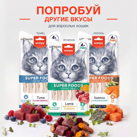 Лакомство Wanpy Cat для взрослых кошек, Нежное пюре из курицы с тыквой и кейлом, 70г