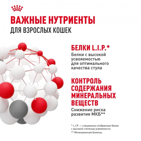 Влажный корм ROYAL CANIN Indoor Sterilised для взрослых кастрированных и стерилизованных кошек, живущих в помещении, кусочки в желе, 85г