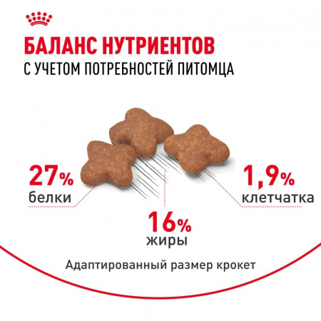 Сухой корм ROYAL CANIN Mini Adult, для взрослых собак мелких размеров от 10 месяцев, 2кг