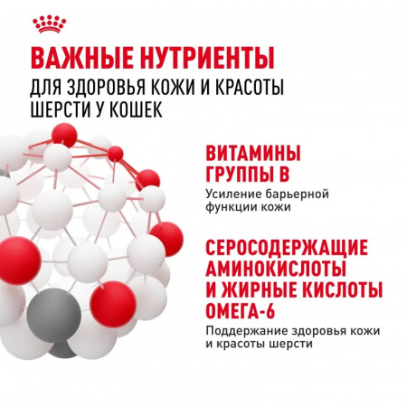 Влажный корм ROYAL CANIN Hair&Skin, для взрослых кошек, идеальная кожа и шерсть, тонкие кусочки в желе, 85г