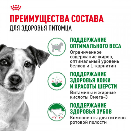 Сухой корм ROYAL CANIN Mini Adult, для взрослых собак мелких размеров от 10 месяцев, 2кг
