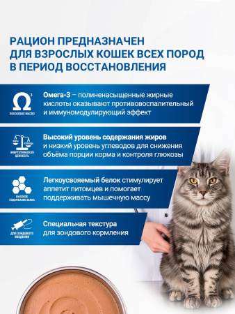 Влажный корм Monge VetSolution Cat Recovery для кошек при восстановлении питания в период выздоровления, 100г