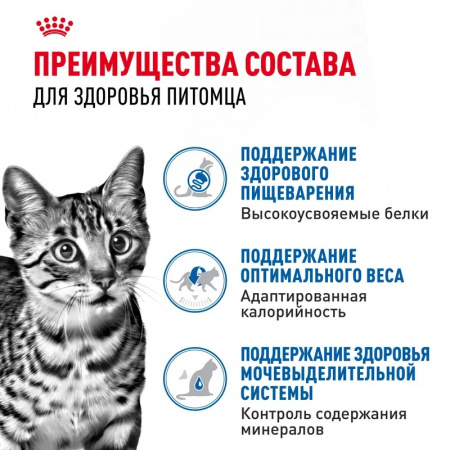 Влажный корм ROYAL CANIN Indoor Sterilised для взрослых кошек (в возрасте от 1 года до 7 лет), живущих в помещении, соус, 85г