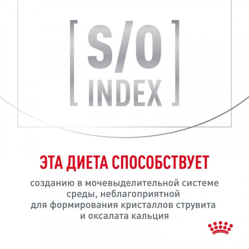 5e0e7dd6-69cc-4eef-93ec-934f025bf17c
