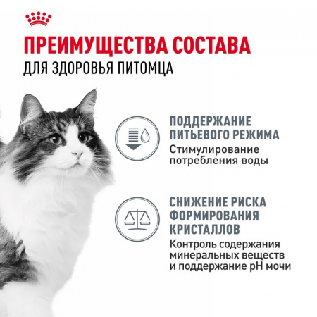 ROYAL CANIN Urinary Care для взрослых кошек для поддержания здоровья мочевыделительной системы, мелкие кусочки в соусе, 85г