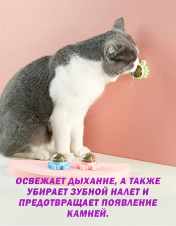 CT2304077 Вращающийся шарик-леденец из прессованной кошачьей мяты, диаметр 3.5см