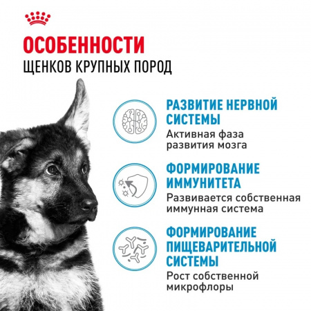 Сухой корм ROYAL CANIN Maxi Puppy для щенков крупных пород 3кг