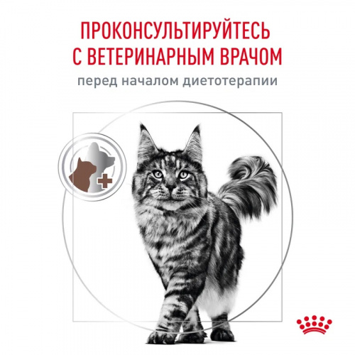045c7edd-2c8d-43e2-83e7-8f2c4dea29b9