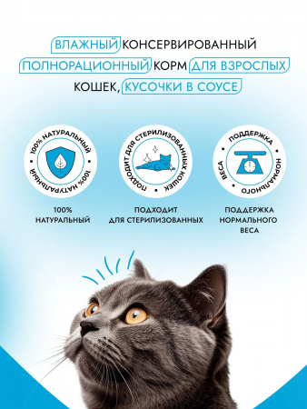 Влажный корм Best Dinner Basic для взрослых кошек, кусочки в соусе, с говядиной и ягненком, 75г