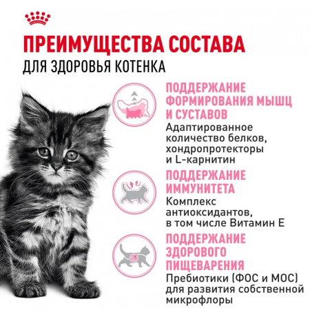 Сухой корм ROYAL CANIN Maine Coon Kitten для котят породы мейн-кун, до 15 месяцев, 10кг