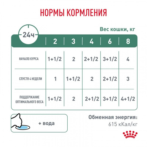 3446_4