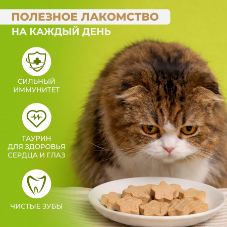 Лакомство Ranova для кошек, сублимированное, Звёздочка для зубов с курицей и морковью, 6г